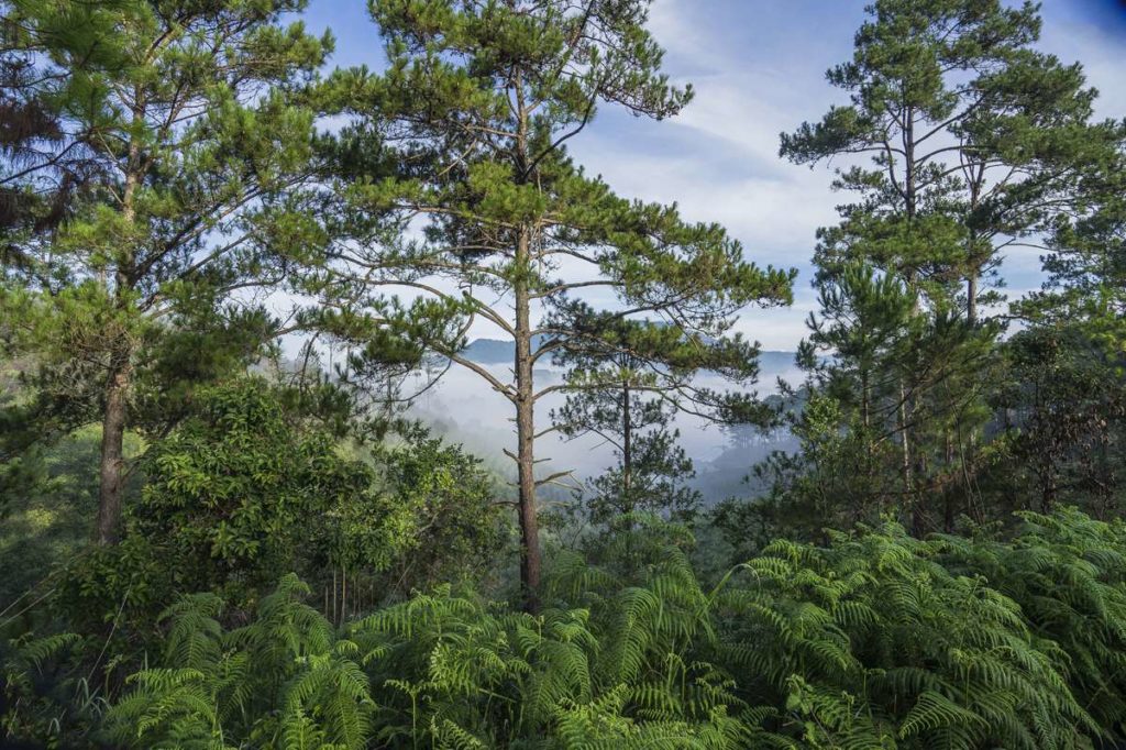 Bidoup National park