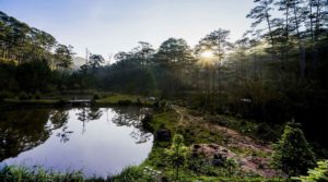 Bidoup National park