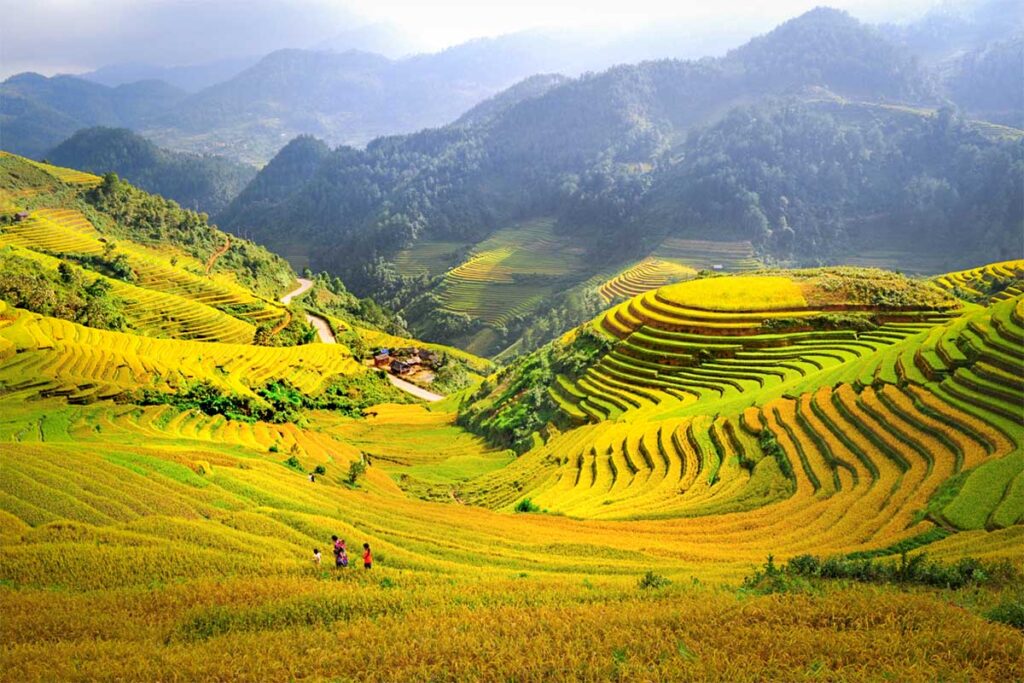 Stunning golden rice fields of Che Cu Nha in Mu Cang Chai