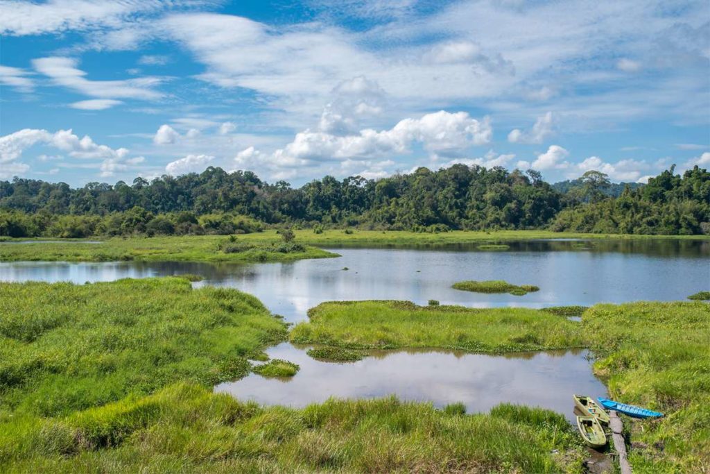 Crocodile Lake in Cat Tien national park