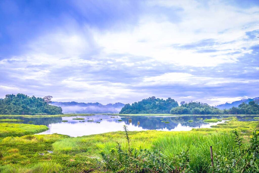 A serene view of Crocodile Lake, one of the park’s most famous attractions, surrounded by wetlands and lush greenery.