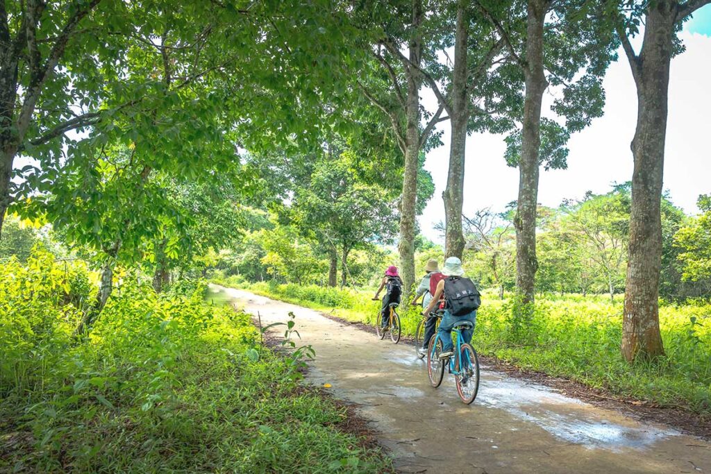 Two people riding bicycles along a paved road lined with trees, enjoying the scenic surroundings of Cat Tien National Park.