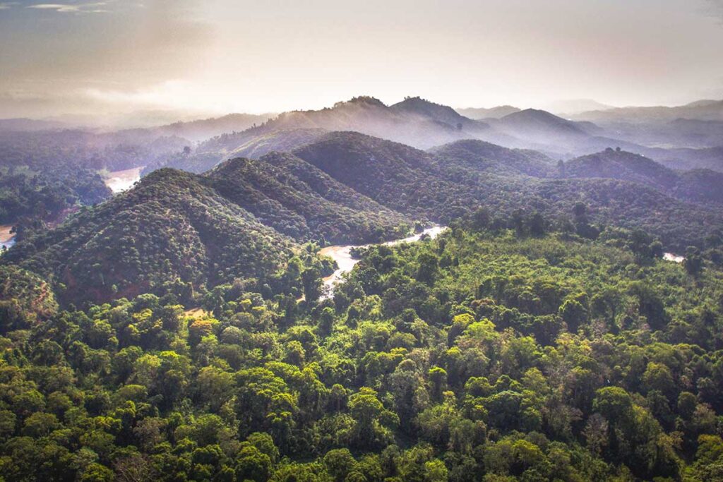 A stunning aerial shot of Cat Tien National Park, showcasing its vast expanse of tropical rainforest and winding rivers.