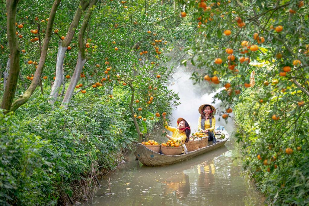 Lai Vung Tangerine Orchard in Dong Thap with women harvesting mandarins by boat along a canal