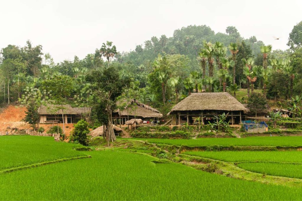 Ngoi Tu Village