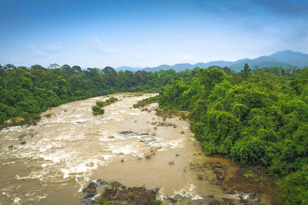 A scenic river meandering through the park, providing an essential water source for the wildlife of Cat Tien National Park.