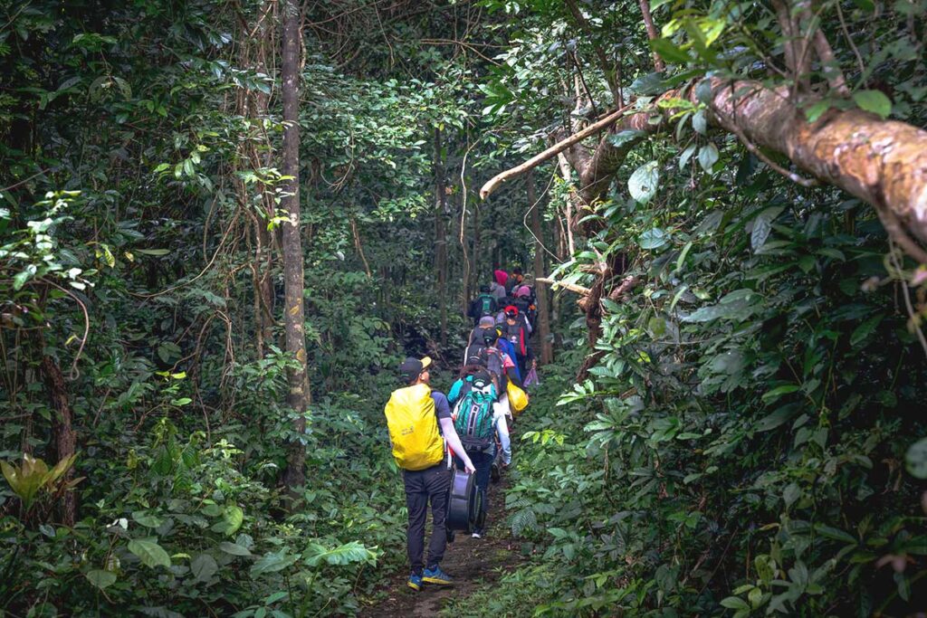 A group of hikers walking along a narrow forest trail, surrounded by dense jungle in Cat Tien National Park.