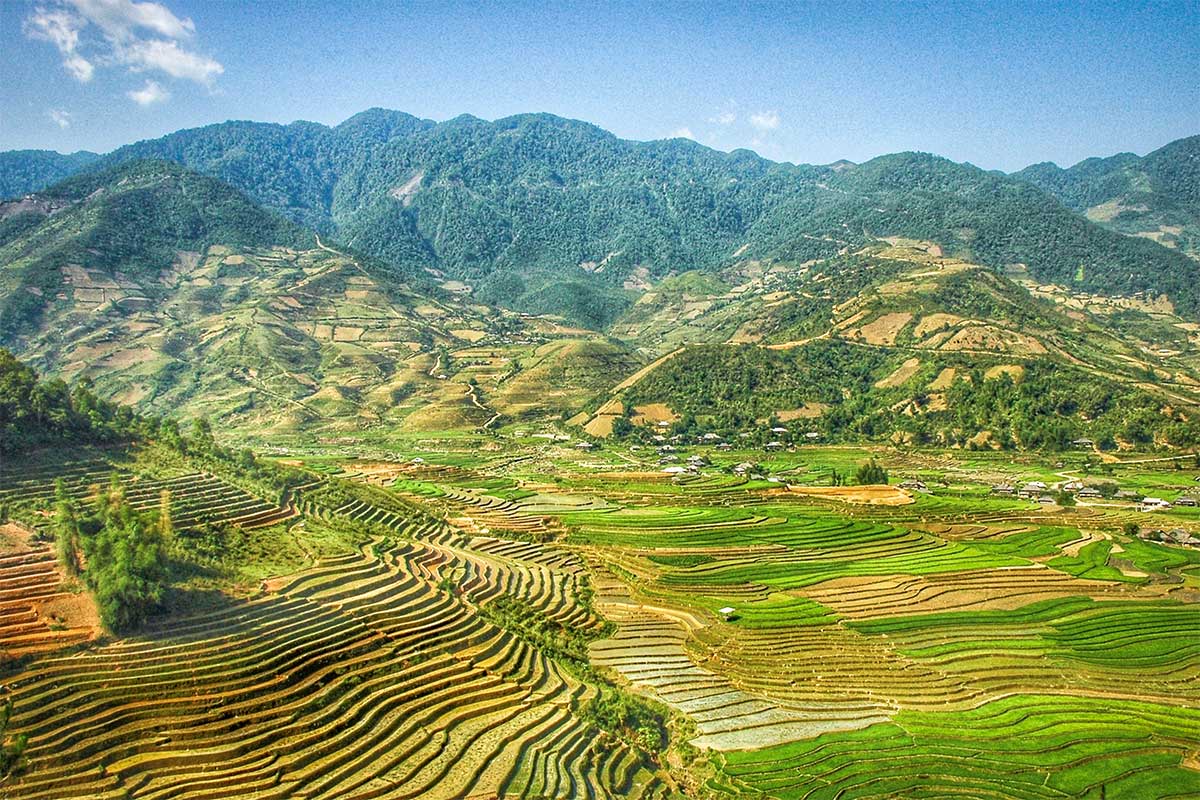 Rice fields of Tu Len district in Yen Bai province