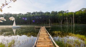 Tuyen Lam Lake