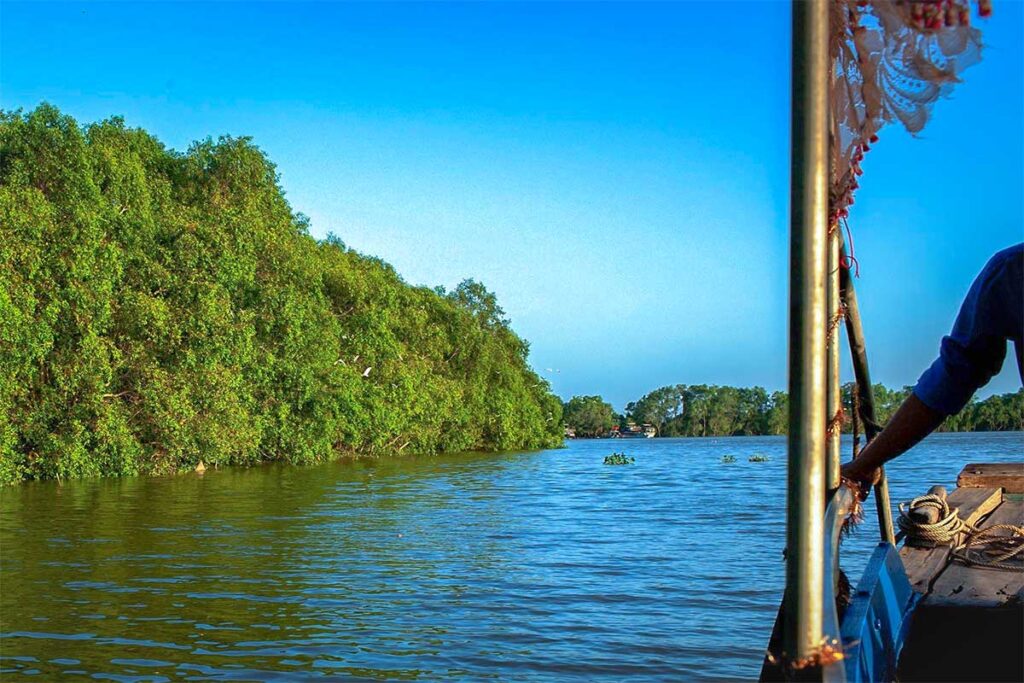 Boat tour through the mangrove forest at Vam Ho Bird Sanctuary in Ben Tre, Vietnam