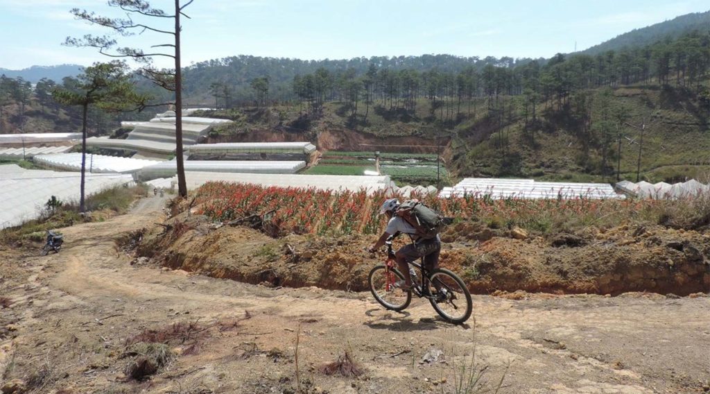 Mountain biking in Dalat