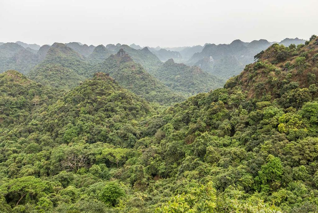 Cat Ba National Park