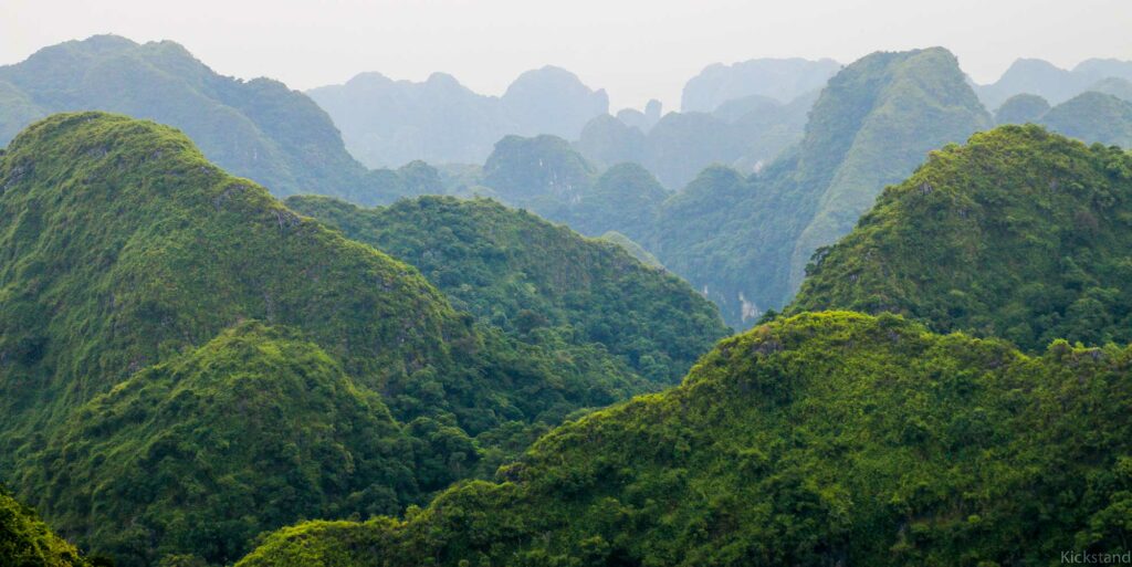 Cat Ba National Park