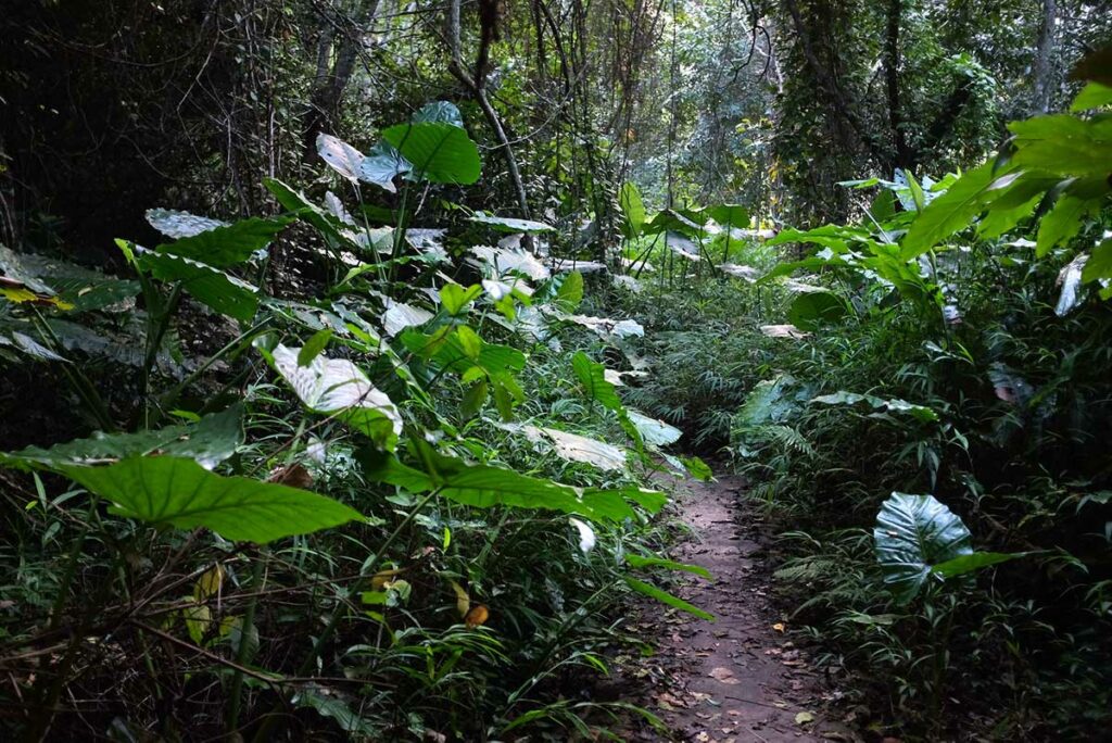 Cat Ba National Park