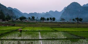 Viet Hai Village on Cat Ba Island