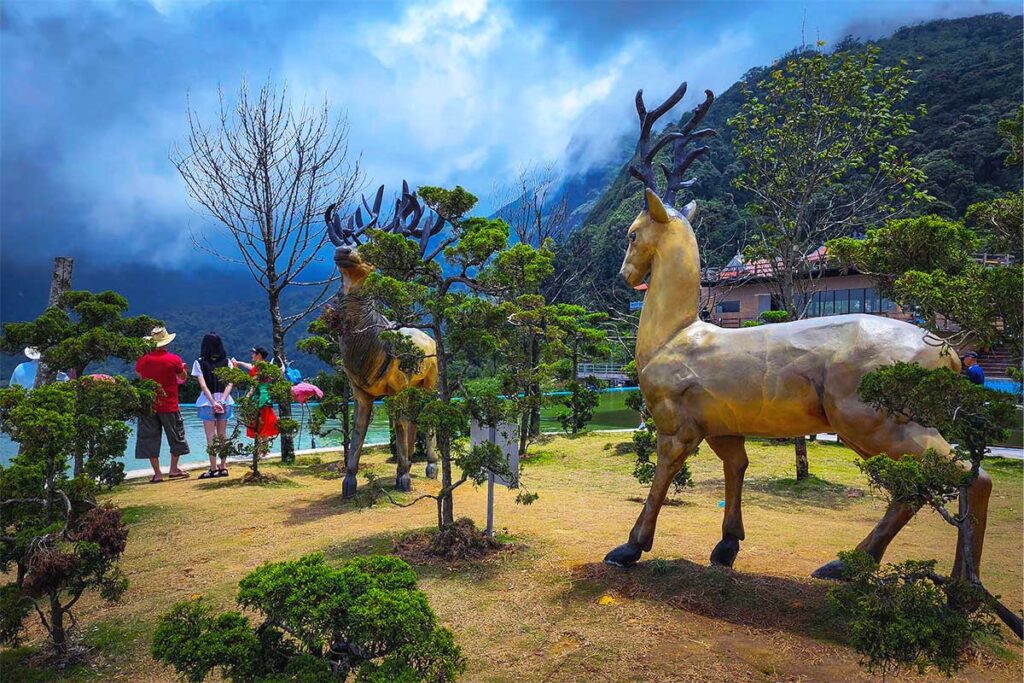 photo spot at Cau Kinh Rong May amusement park