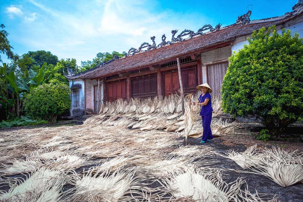 woman preparing the leaves that are used to make conical hats at Chuong Village near Hanoi