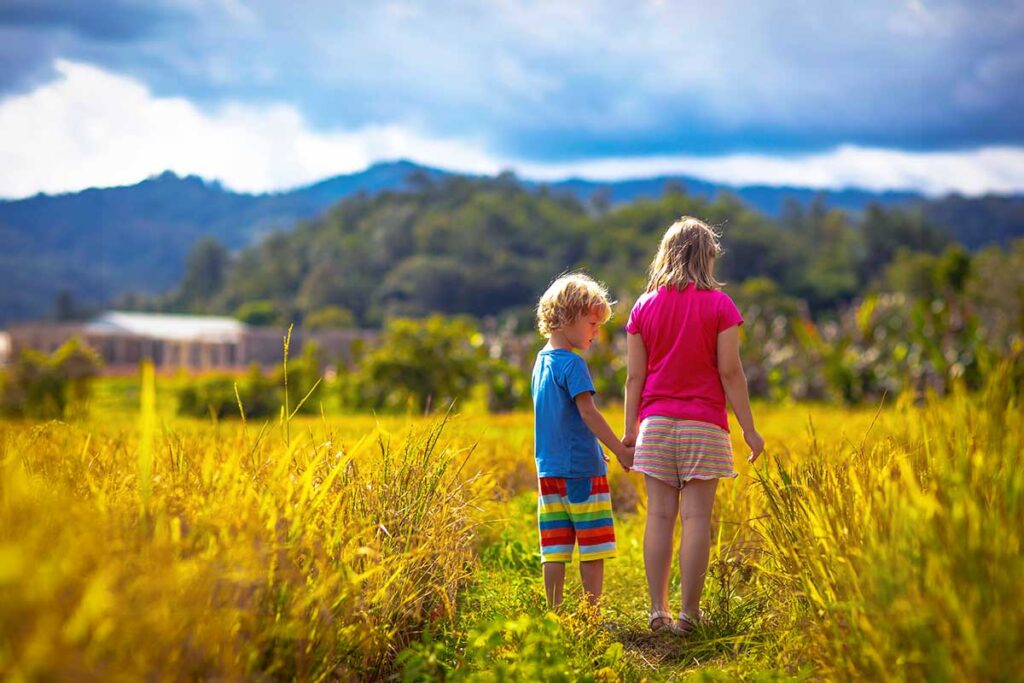 two Caucasian kids walking between the rice fields 