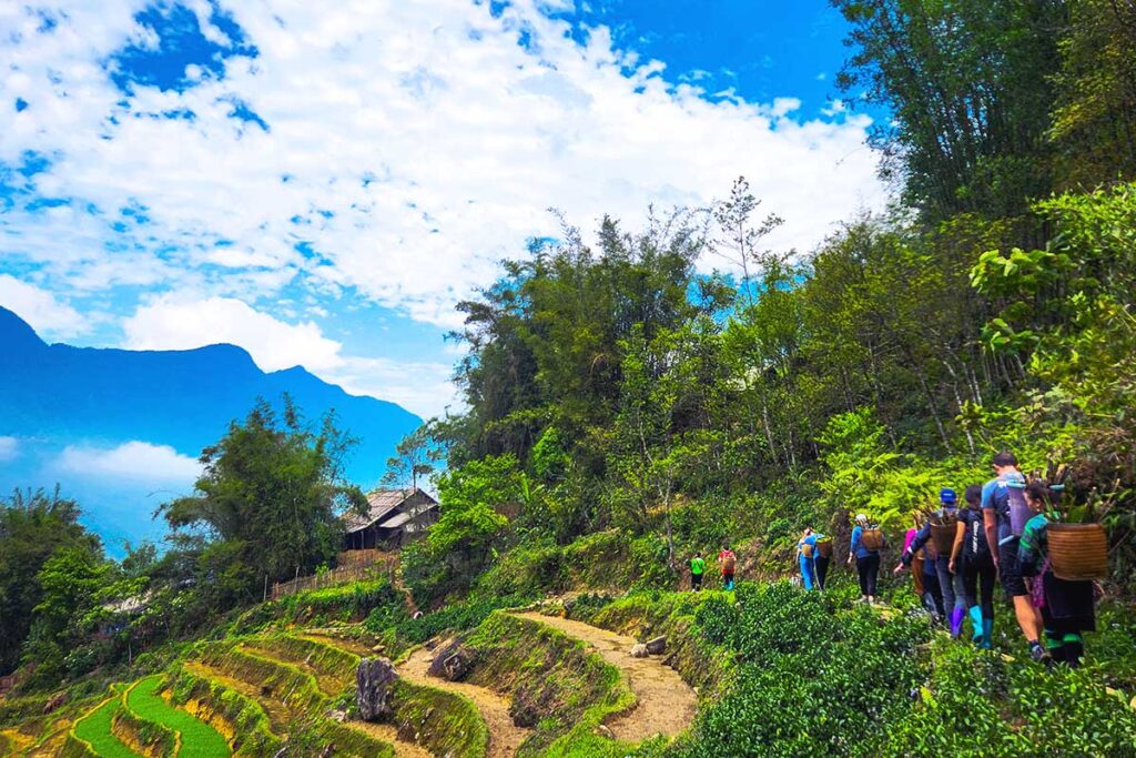 A tourist following a trekking route in Sapa along rice fields together with a group of colorful ethnic minority woman