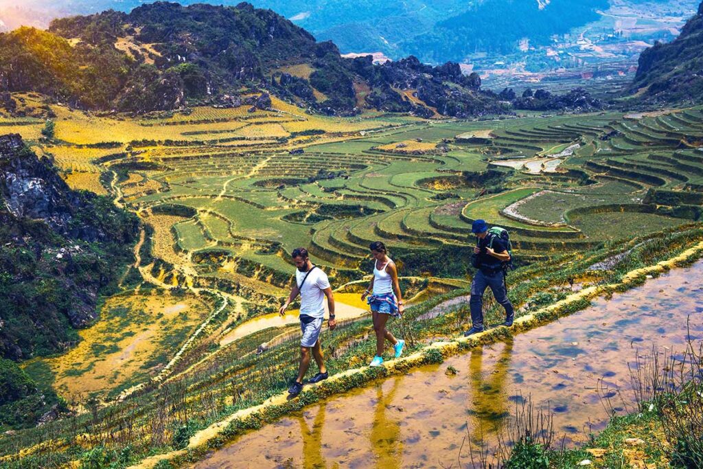 3 tourists are trekking in Sapa on an unmarked route, right on the edge of a terraced rice fields