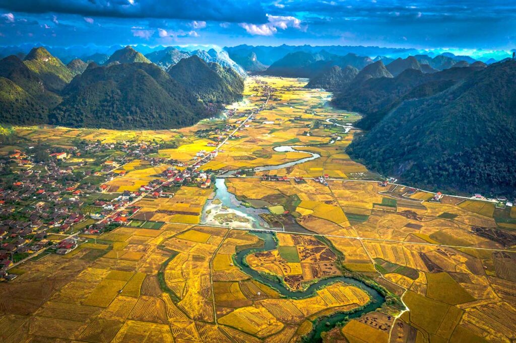 Epic views over the golden yellow rice fields of Bac Son Valley from Bac Son Viewpoint on Na Lay Peak