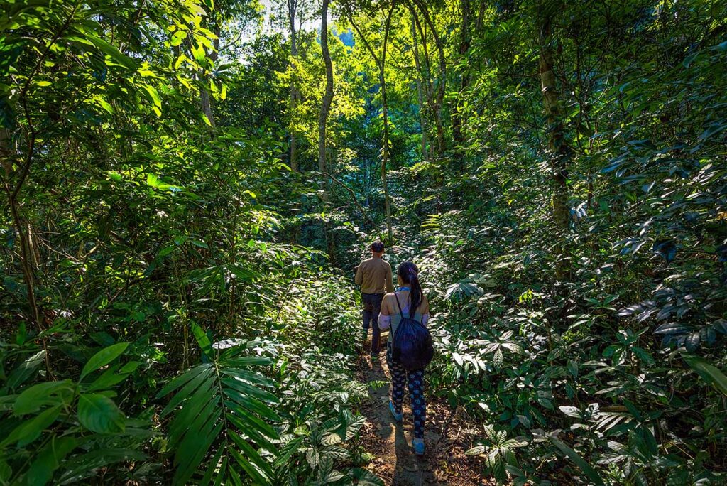 Two tourist doing a trekking in Cat Ba National Park