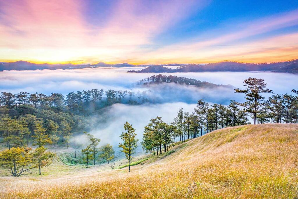 The mountains of Dalat covered in flower fields and forests 