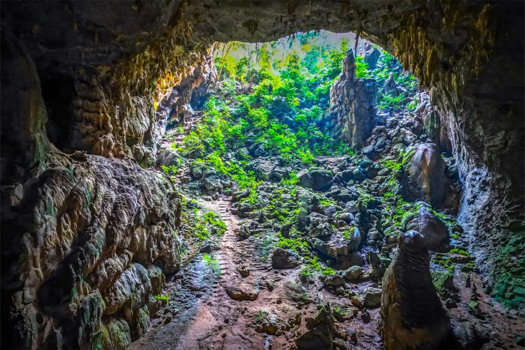 Opening of Elephant Cave in Phong Nha - Ke Bang National Park