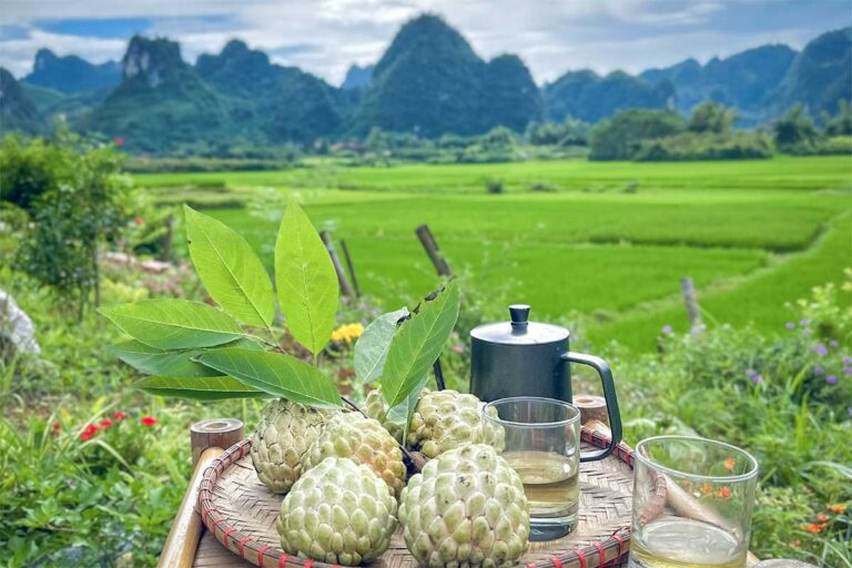 A plate of fruit and tea at a homestay with a view over rice fields and mountains in Huu Lien