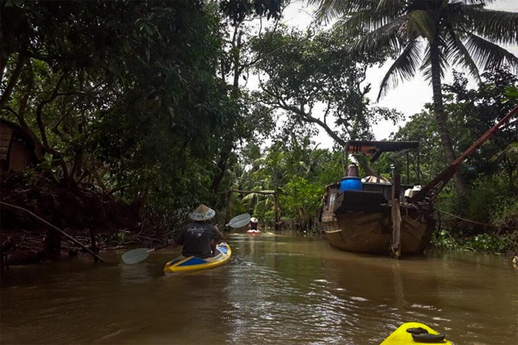 Kayaking through the mangrove of the Mekong Delta in Vietnam