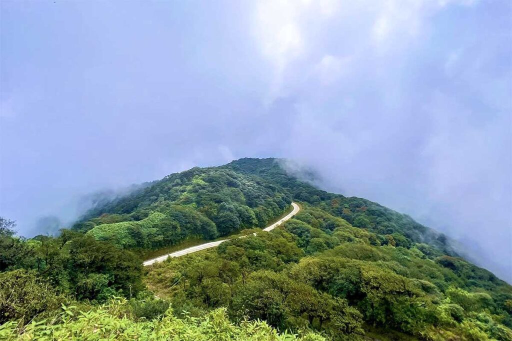 A road going through forest of Phia Oac National Park in Cao Bang