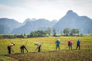 The rural countryside of Quang Binh province in Central Vietnam