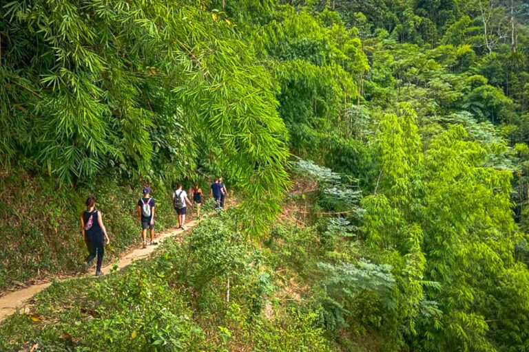 A group of tourist doing a trekking tour in Ba Be National Park