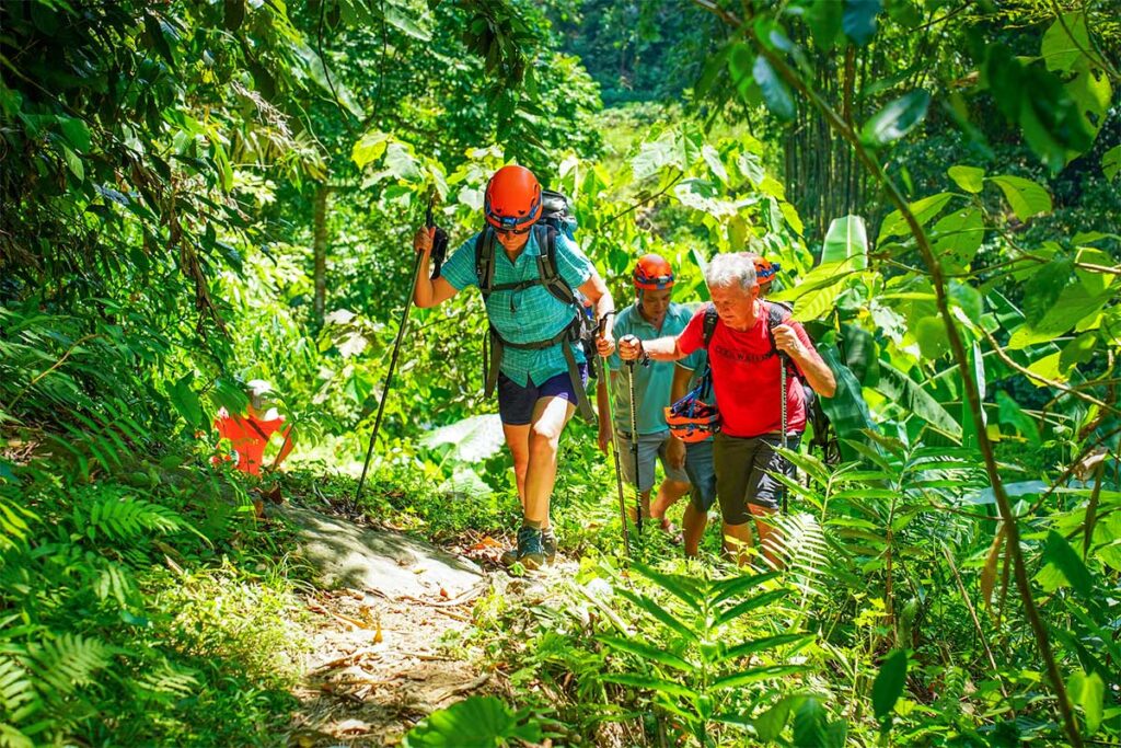 Trekking tour through the jungle of Ba Be National Park