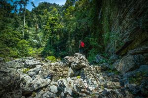 Tu Lan Cave Expedition