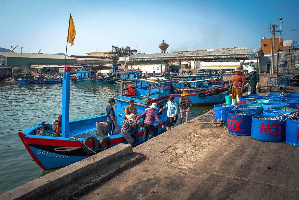 Fisherman loading fish in the port from their boat at An Quang Fishing Village