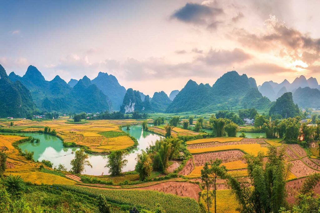 Phong Nam Valley in Autumn – A picturesque view of Phong Nam Valley in autumn, with partially harvested rice fields and clear blue skies, capturing the transition between seasons.