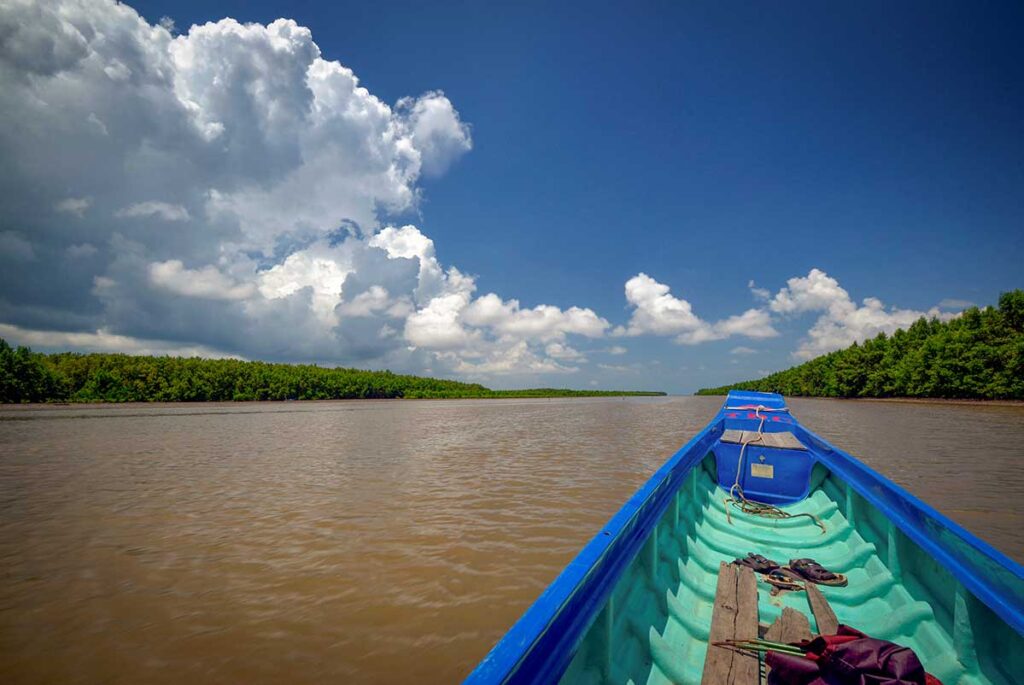 Boat ride through Ca Mau mangrove waterways, offering views of lush green forests and wide open skies.