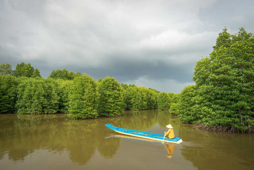 Dense mangrove forest in Ca Mau National Park with a small wooden boat on the river under cloudy skies.