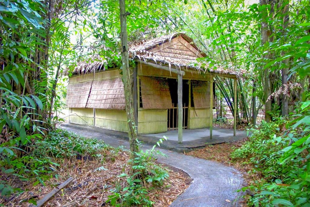 Thatched house at Can Tho Provincial Party Committee Base, Hau Giang, Vietnam – historic bamboo and palm-leaf hut hidden in the forest.