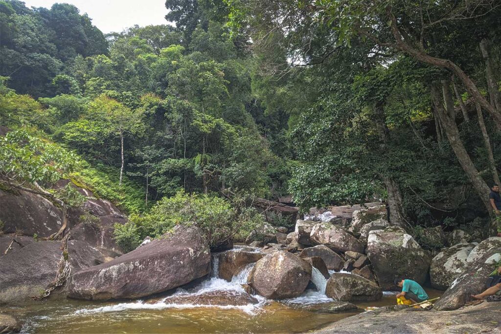 A peaceful stream flowing through rocky terrain, creating small waterfalls, surrounded by dense jungle in Chu Yang Sin National Park.