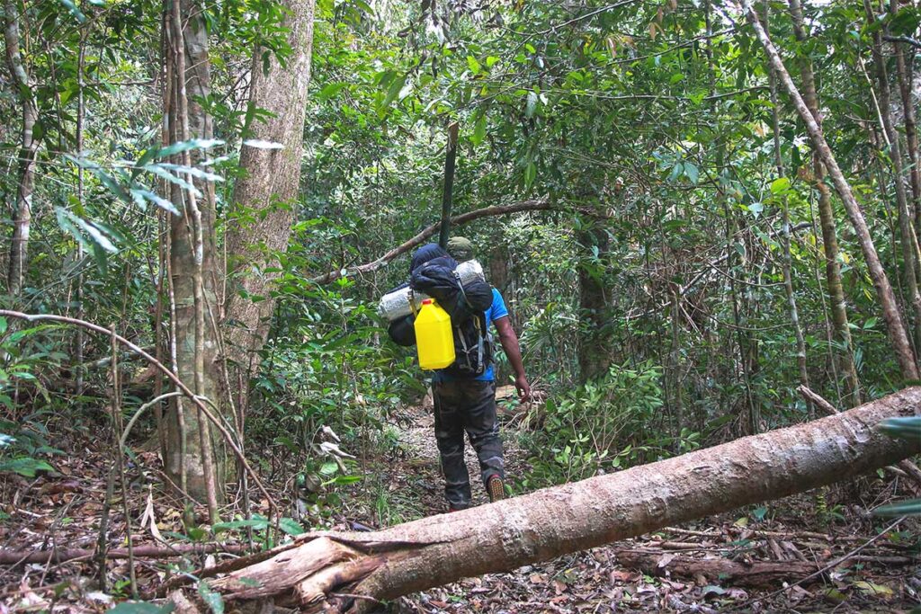 A hiker making his way through the lush green forest of Chu Yang Sin National Park, immersed in nature.