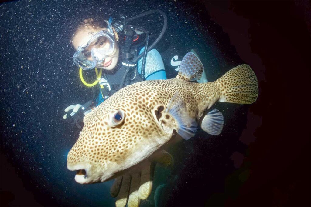 A scuba diver in Con Dao poses behind a large fish underwater, capturing a fun and memorable moment while exploring the island’s deep waters.