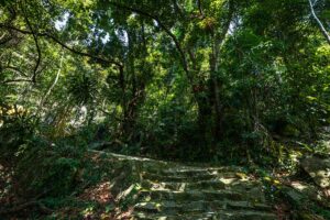 Con Dao in September – The rainy season brings lush greenery to Con Dao, making it a perfect time for jungle trekking and exploring nature.