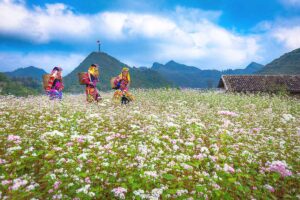 Ha Giang Loop in October - Three Lo Lo ethnic girls dressed in vibrant traditional clothing, walking through a buckwheat flower field, with a house and mountain scenery in the background, a signature sight of Ha Giang Loop in October.