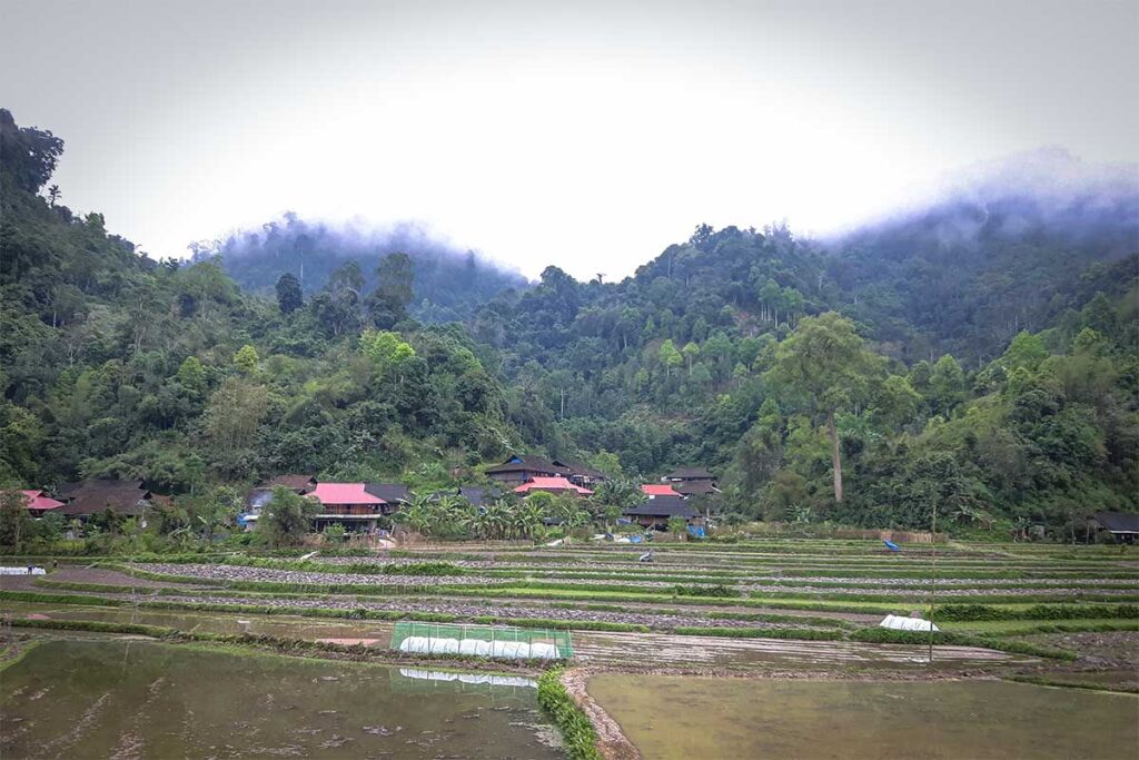 Kim Hy nature reserve in Bac Kan