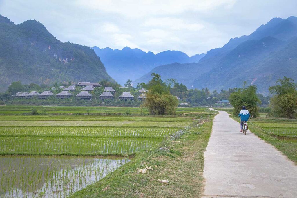 The scenery of rice fields in Mai Chau during spring season