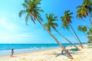 Mui Ne in January: A tropical beach in Mui Ne with clear blue skies, swaying palm trees, and golden sand, showcasing the perfect weather for a beach getaway.