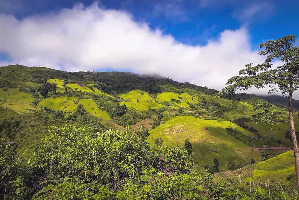 A serene view of grassy hills and mountains in the Muong Nhe Nature Reserve, home to diverse flora and fauna.