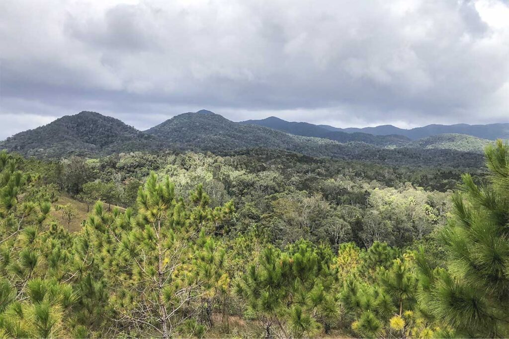 A sweeping view from above, showcasing the dense greenery of Nam Nung Forest stretching into the horizon.